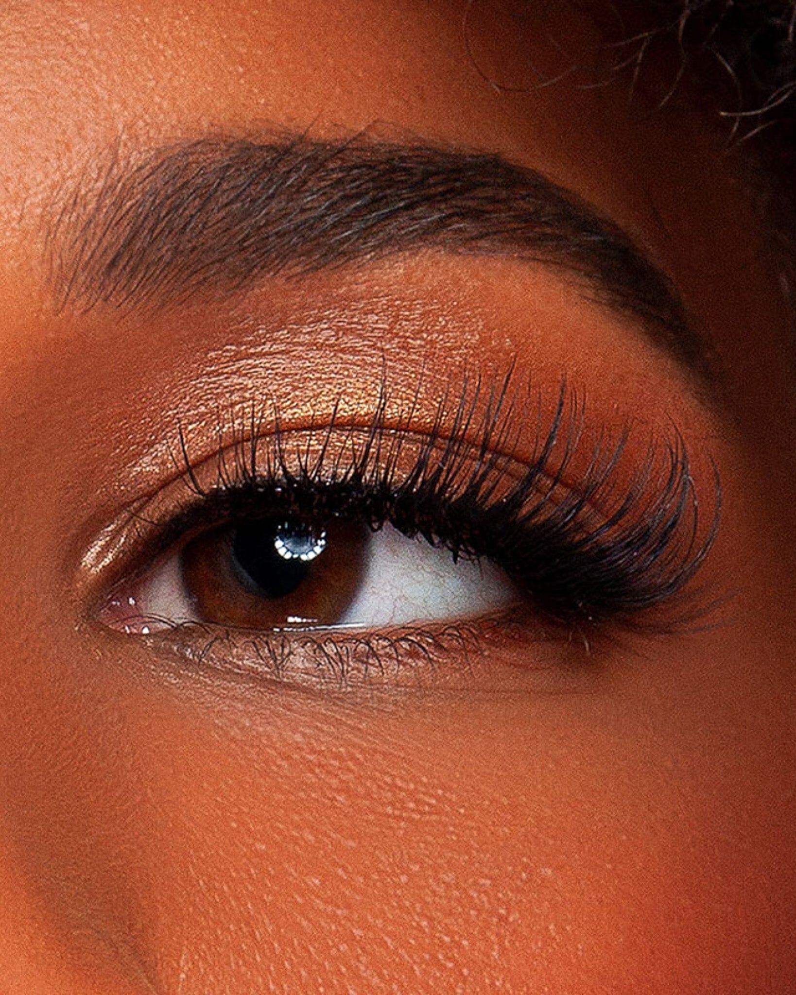 Elsie Lash - Image 4